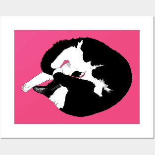 Cute Tuxedo cat sleeping Kitty Pie. Donut eat me  Copyright TeAnne Posters and Art